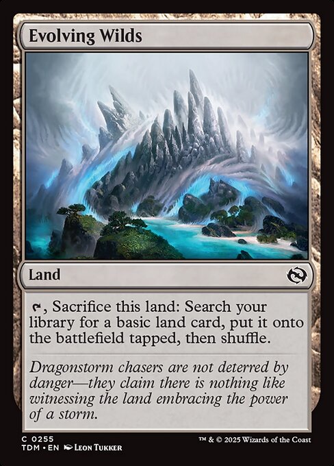 MTG Evolving Wilds TDM 255 Regular Foil