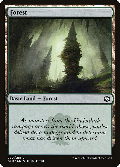 MTG Forest AFR 280 Regular Nonfoil