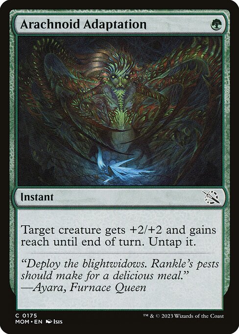 MTG Arachnoid Adaptation MOM 175 Regular Foil
