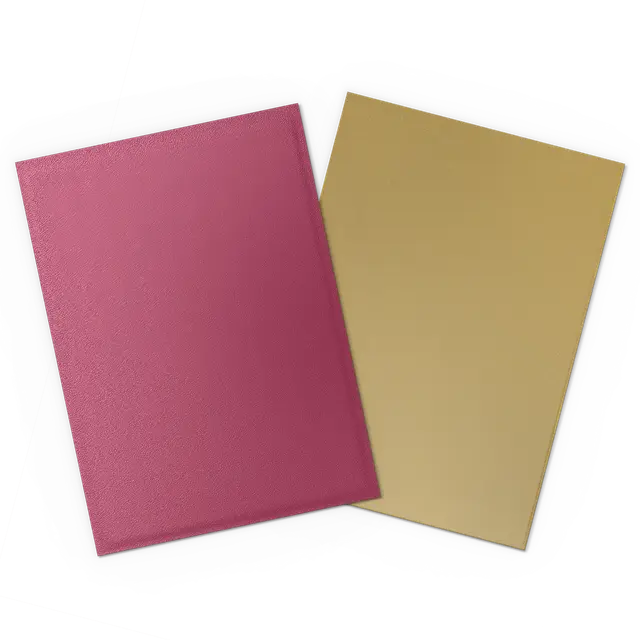 Dragon Shield: Sleeves – Matte Dual – Anniversary Special Edition: Pomegranate & Gold 100