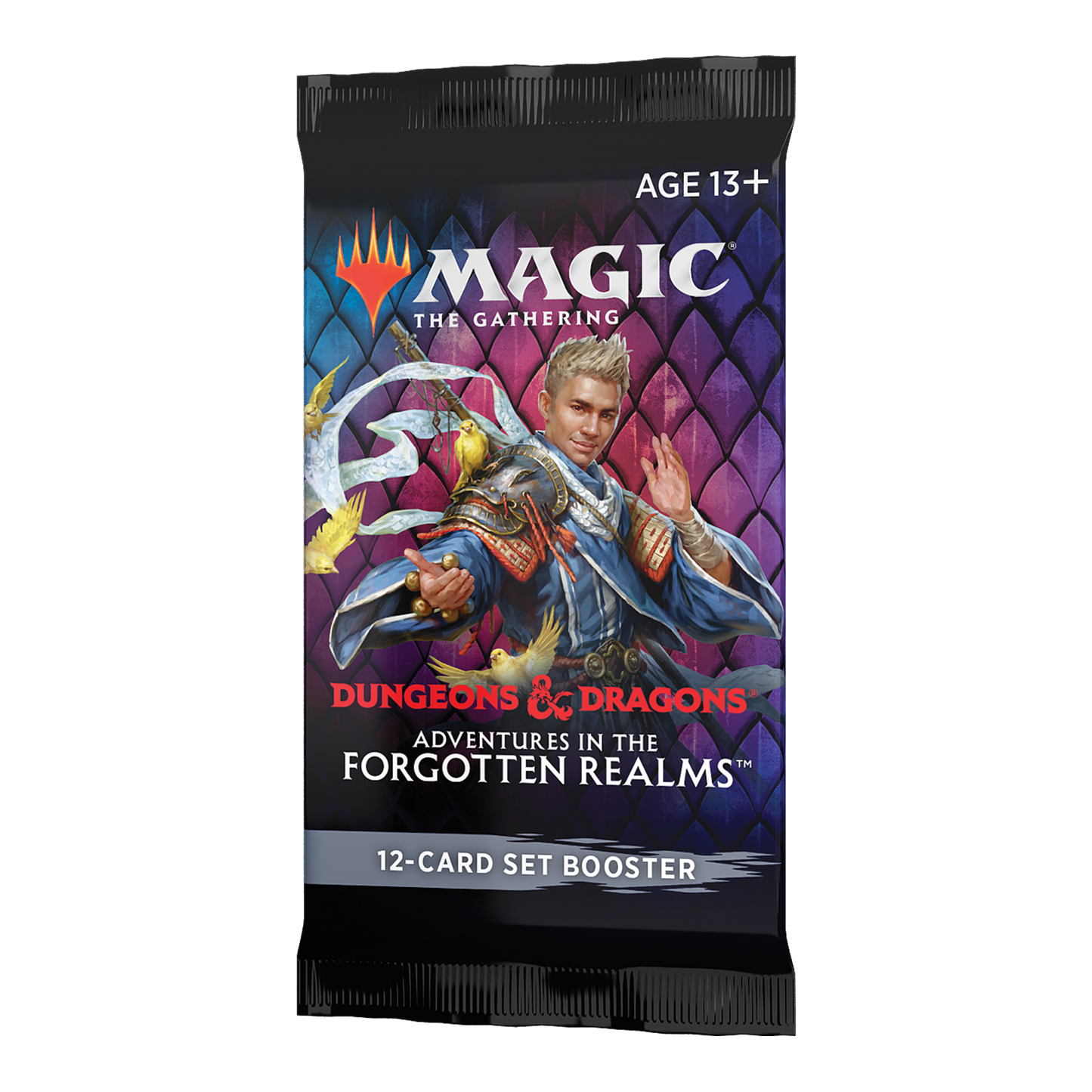 Magic Adventures in the Forgotten Realms Set Booster Single
