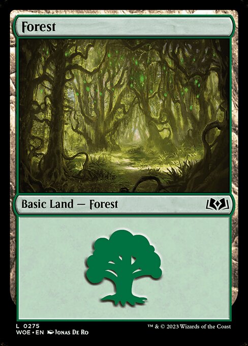 MTG Forest WOE 275 Regular Foil