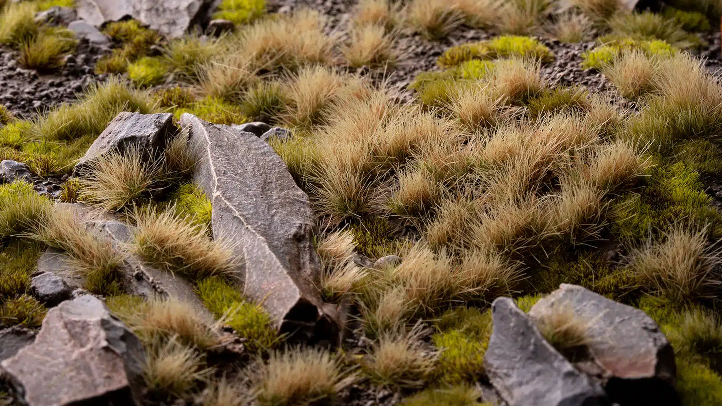 Autumn 5mm Wild