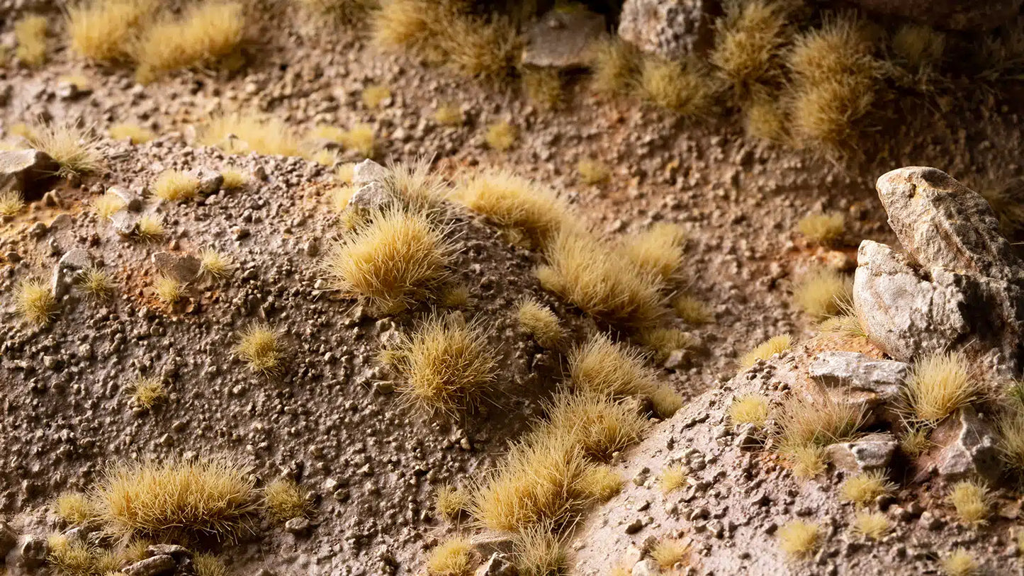 Beige 6mm Wild