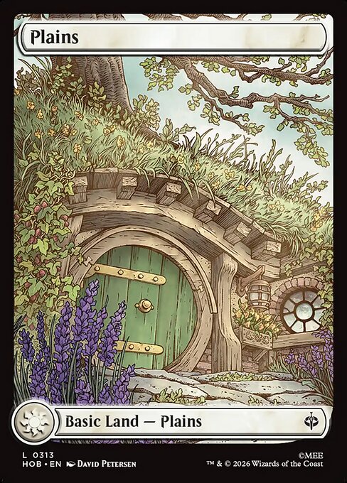 MTG Plains HOB 313 Full Art Map Land Nonfoil