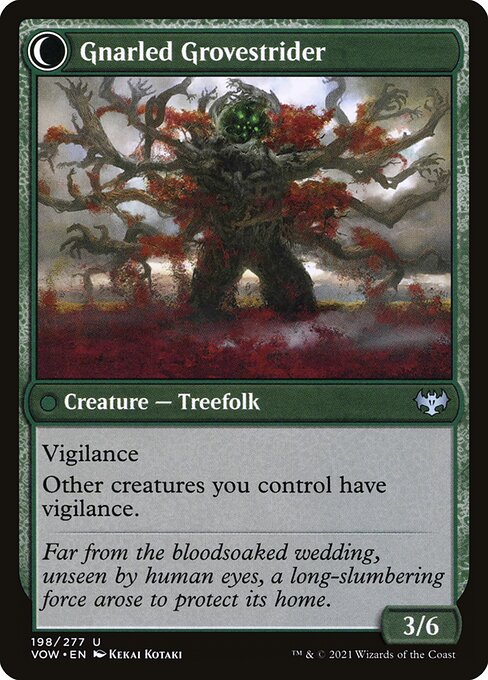 MTG Dormant Grove // Gnarled Grovestrider VOW 198 Standard Foil reverse
