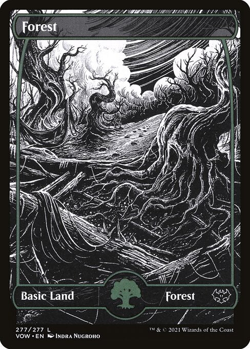 MTG Forest VOW 277 Standard Foil front