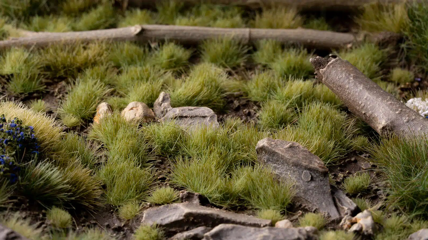 Green 4mm Wild