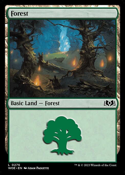 MTG Forest WOE 276 Regular Foil