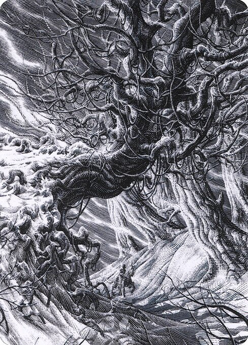 MTG Forest AVOW 081 Art Card Nonfoil front