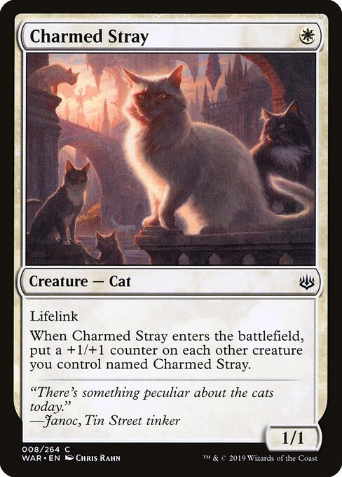 MTG Charmed Stray WAR 008 Standard Nonfoil front