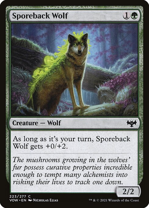 MTG Sporeback Wolf VOW 223 Standard Nonfoil front