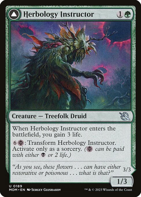MTG Herbology Instructor // Malady Invoker MOM 189 Regular Nonfoil