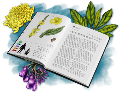 Herbalist’s Primer - RPG Supplement