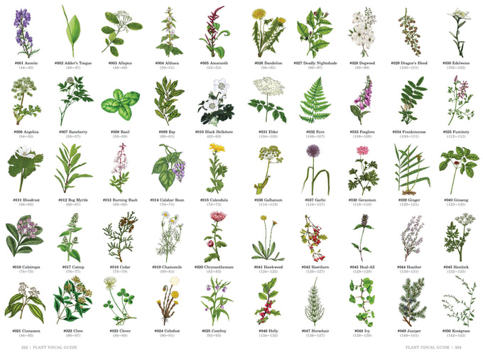 Herbalist’s Primer - RPG Supplement