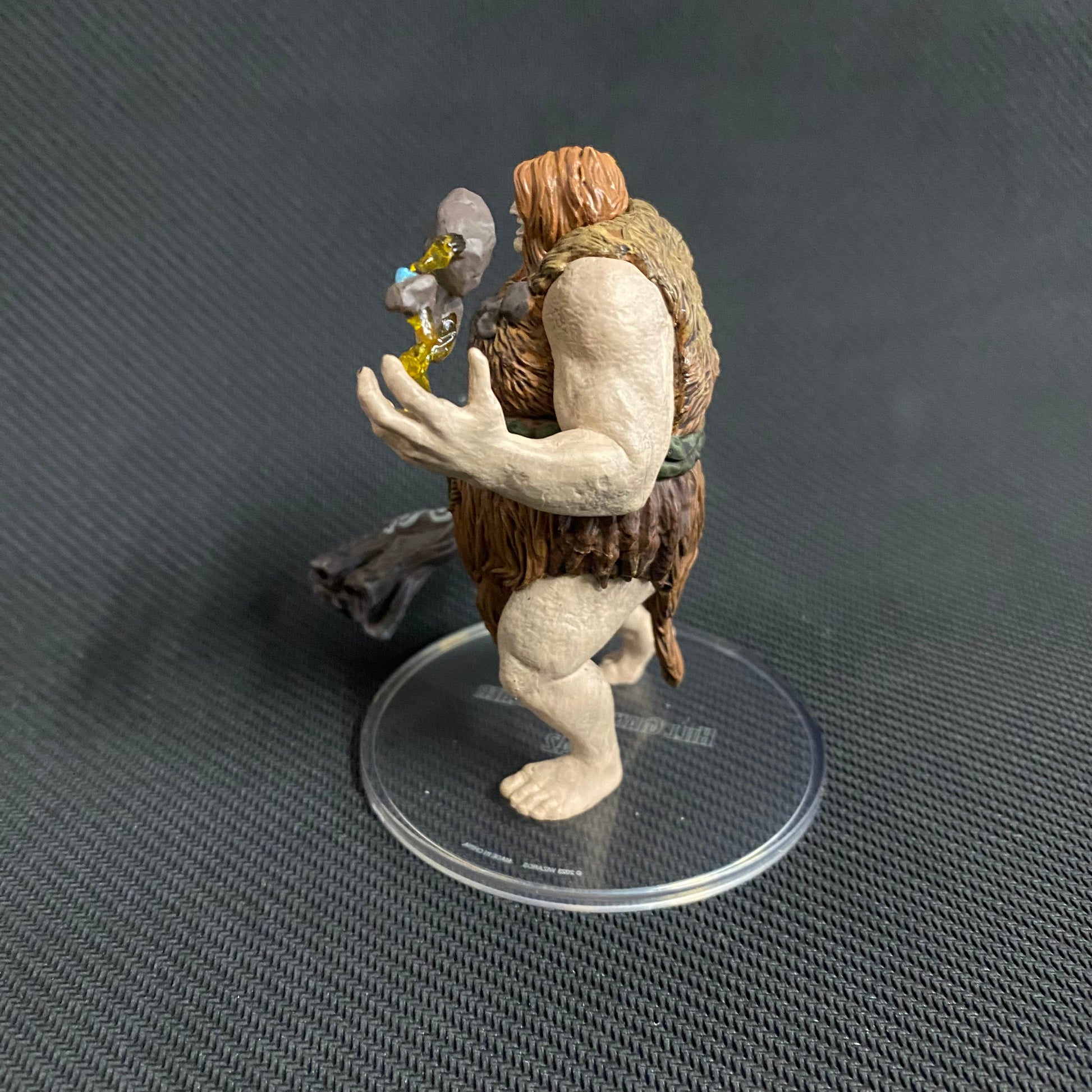 Dungeons and Dragons hill giant miniature 34 of 42