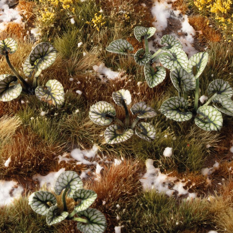 Miniature terrain featuring assembled Bugloss laser-cut plants integrated into a realistic scenic landscape.