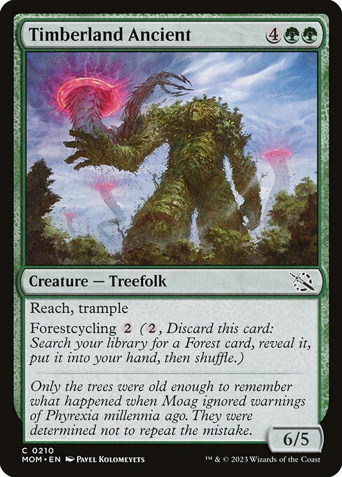 MTG Timberland Ancient MOM 210 Regular Nonfoil