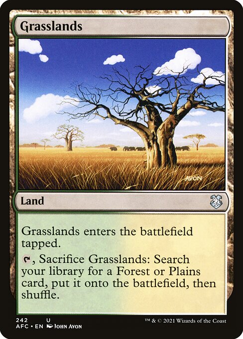 MTG Grasslands AFC 242 Standard Nonfoil