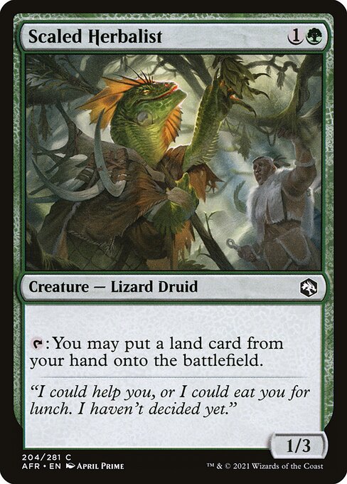 MTG Scaled Herbalist AFR 204 Regular Nonfoil