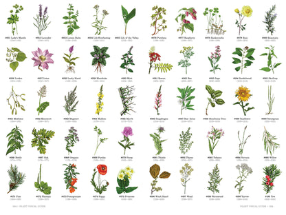 Herbalist’s Primer - RPG Supplement