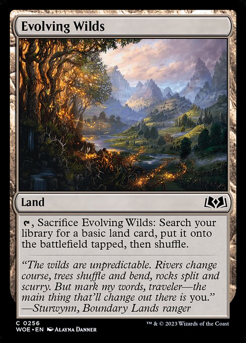 MTG Evolving Wilds WOE 256 Regular Foil