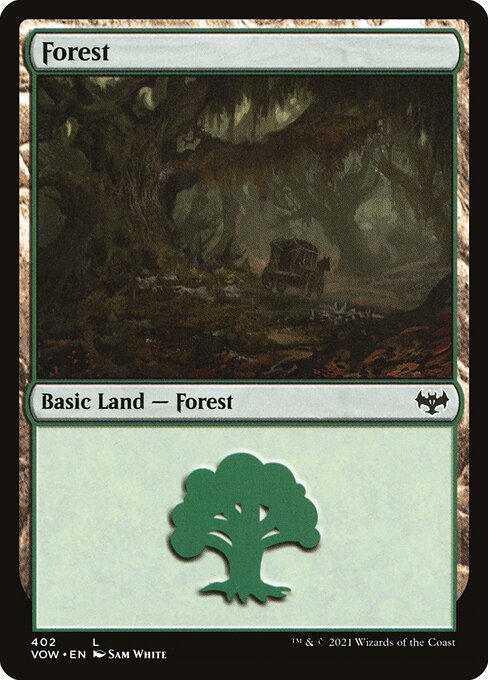 MTG Forest VOW 402 Bundle Land Foil front