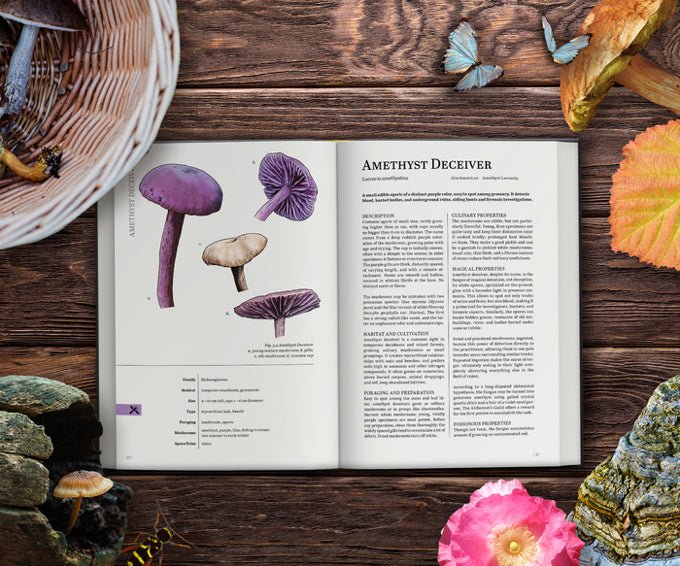Mycologist’s Primer - RPG Supplement