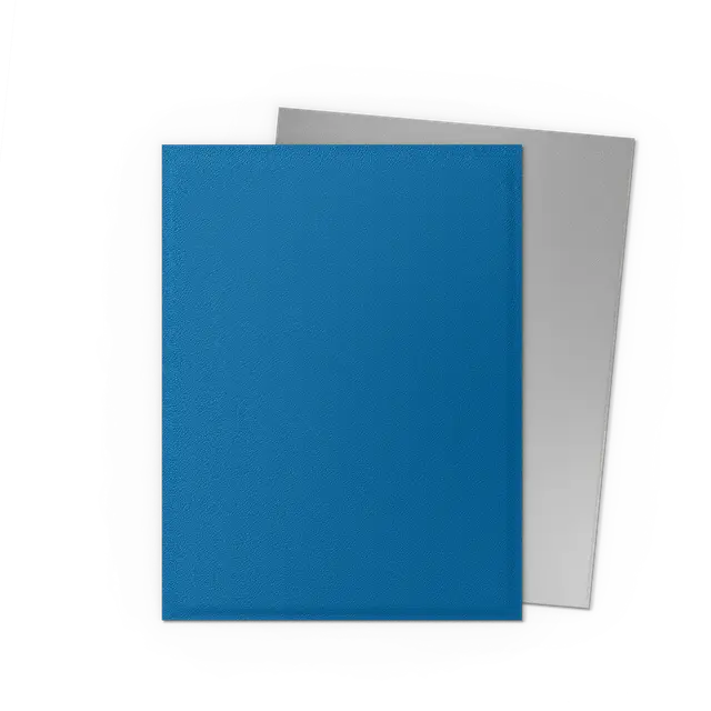 Dragon Shield Sleeves – Matte Dual – Anniversary Special Edition: Cobalt & Silver 100