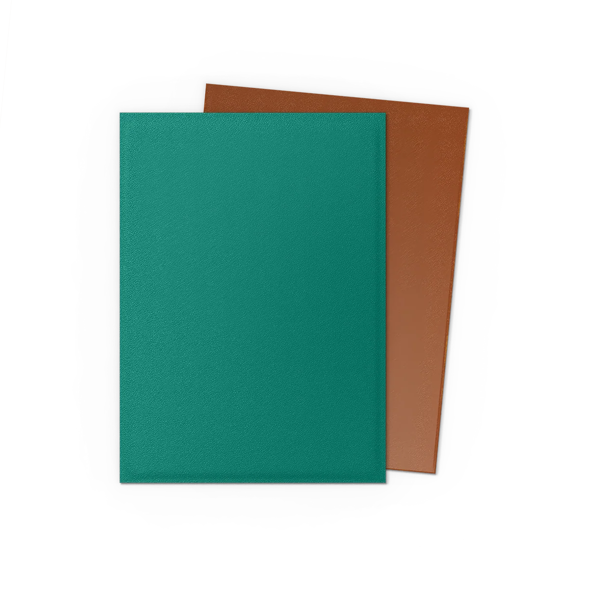 Dragon Shield Power and Copper Matte Dual standard size sleeve packaging