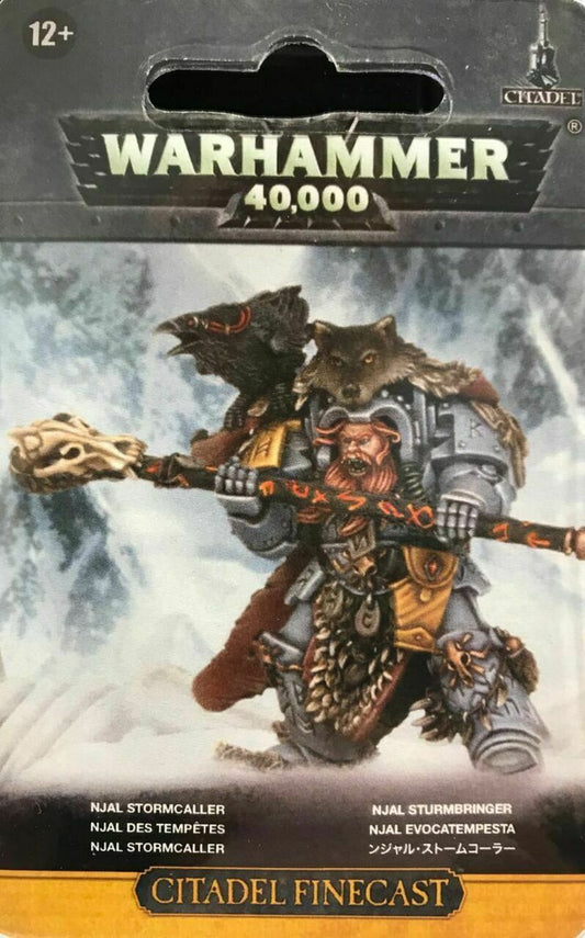 Njal Stormcaller in Terminator Armour