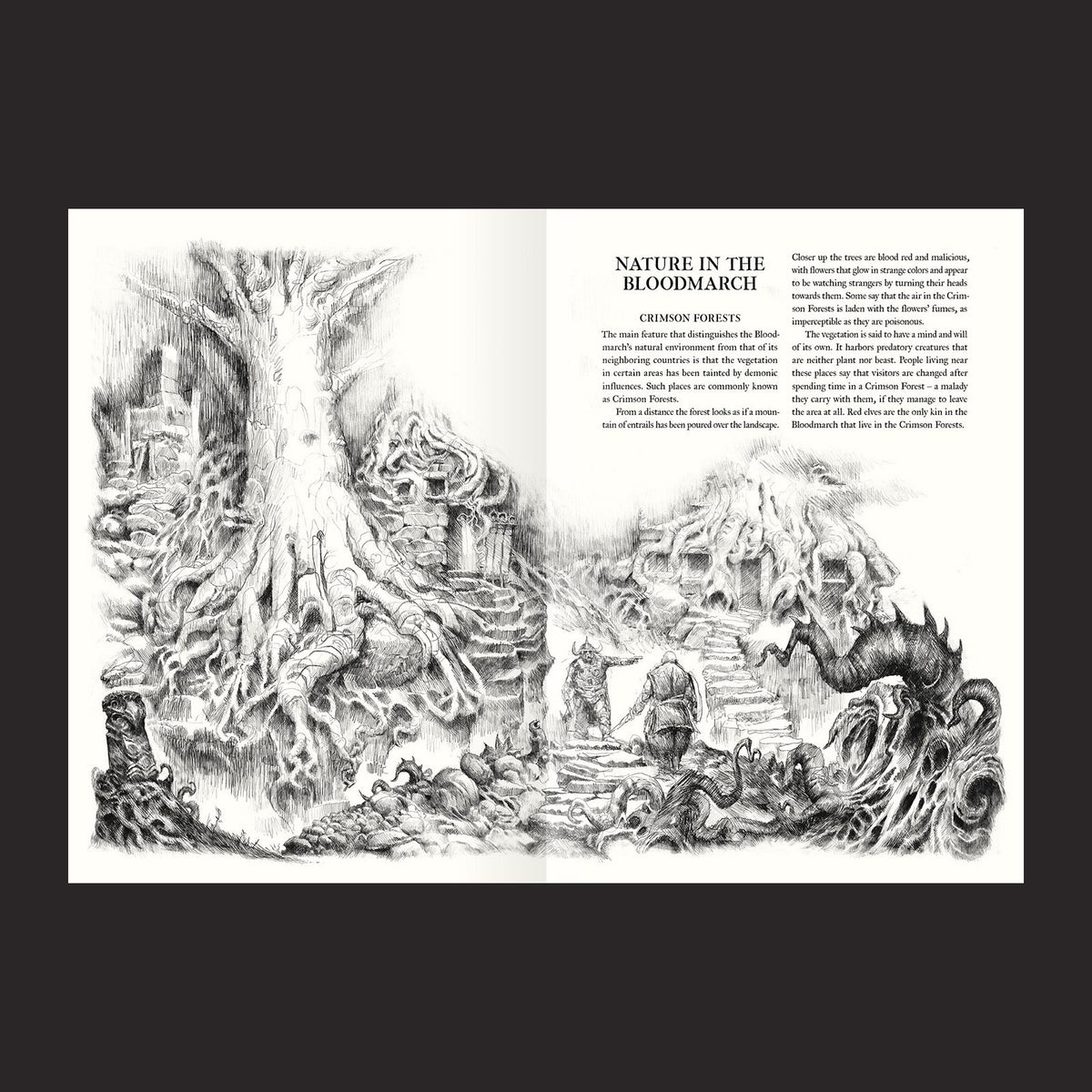 Forbidden Lands RPG, The Bloodmarch interior artwork view 3