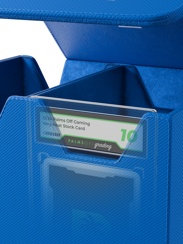 Palms Off Gaming medium blue slab case with velvet interior
