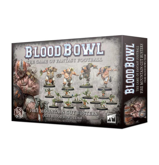 202-02 Blood Bowl: Ogre Team