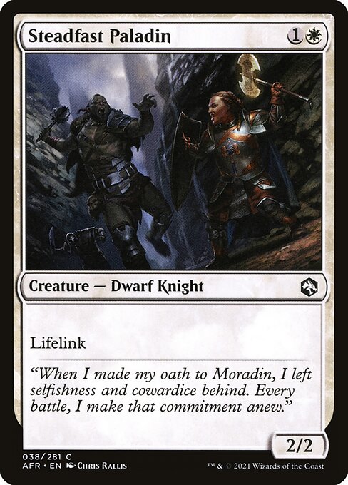 MTG Steadfast Paladin AFR 038 Regular Foil
