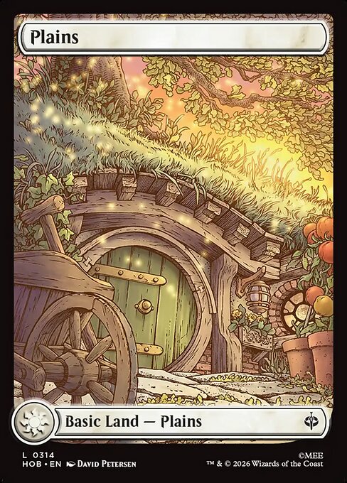 MTG Plains HOB 314 Full Art Land Nonfoil