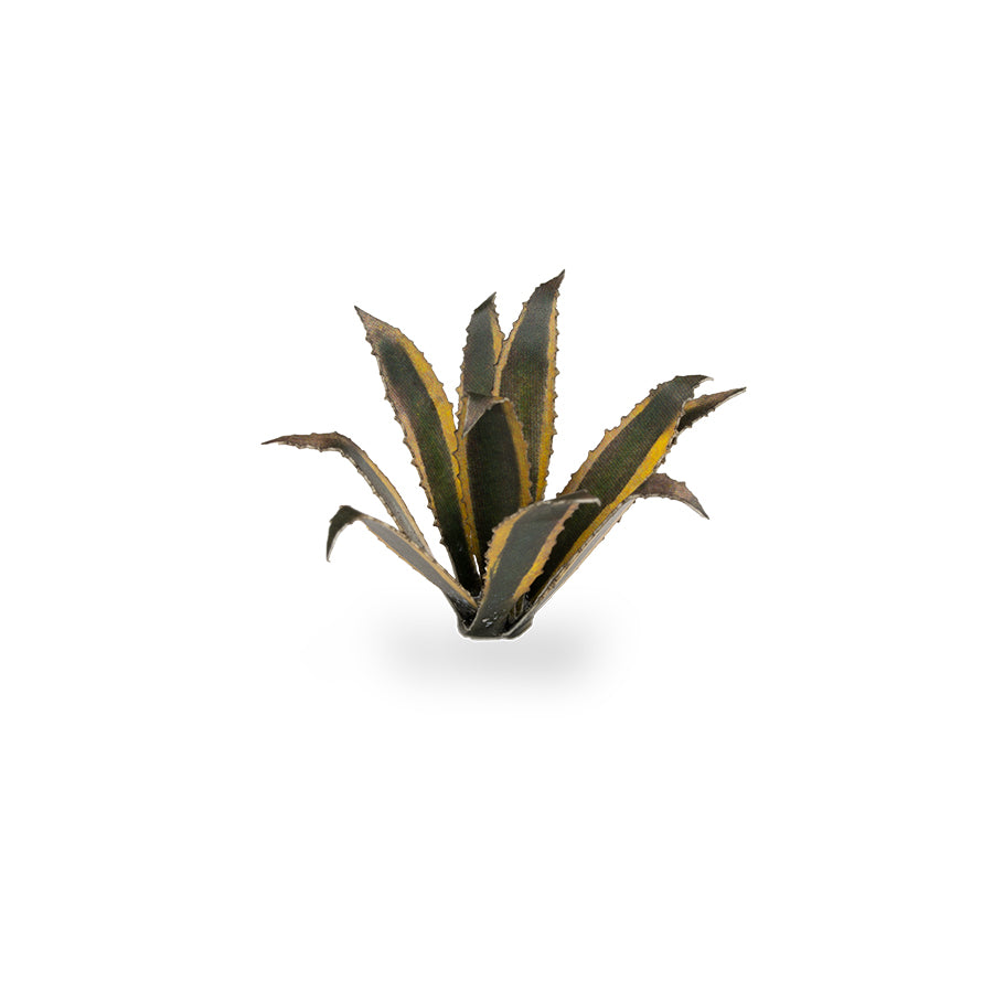 Close-up of an assembled Agave laser-cut plant showing realistic leaf shape, colour and fine cut details.