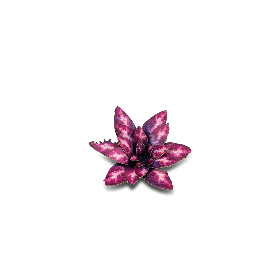 Close-up of an assembled Alien Rosette laser-cut plant showing realistic leaf shape, colour and fine cut details.