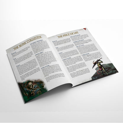 Warhammer Age of Sigmar Soulbound GM Screen