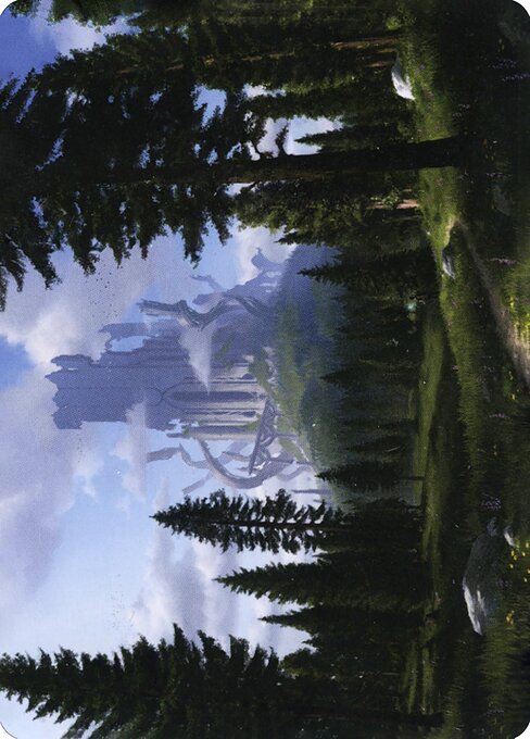 MTG Forest AAFR 061 Art Card