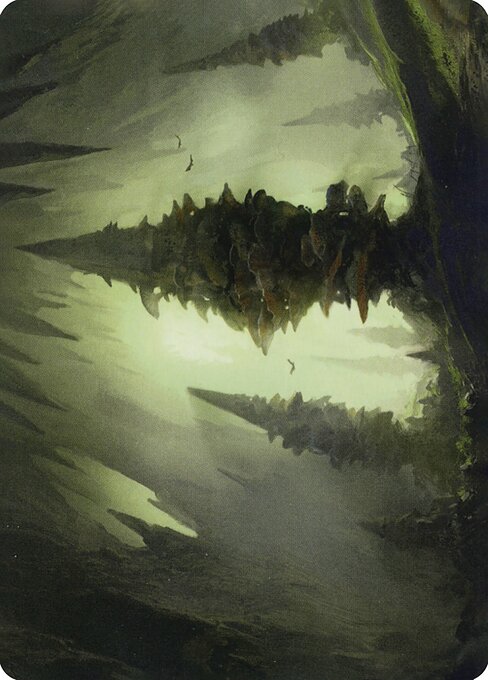 MTG Forest AAFR 055 Art Card