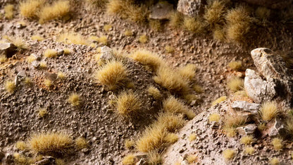 Beige 6mm Wild