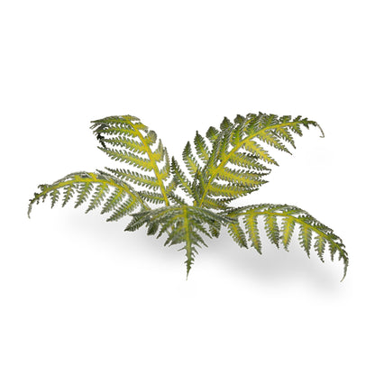 Close-up of an assembled Bracken laser-cut plant showing realistic leaf shape, colour and fine cut details.