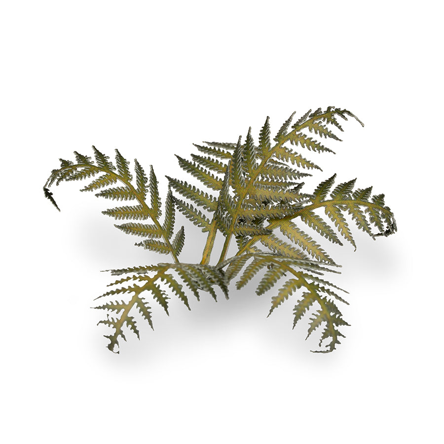 Close-up of an assembled Bracken laser-cut plant showing realistic leaf shape, colour and fine cut details.