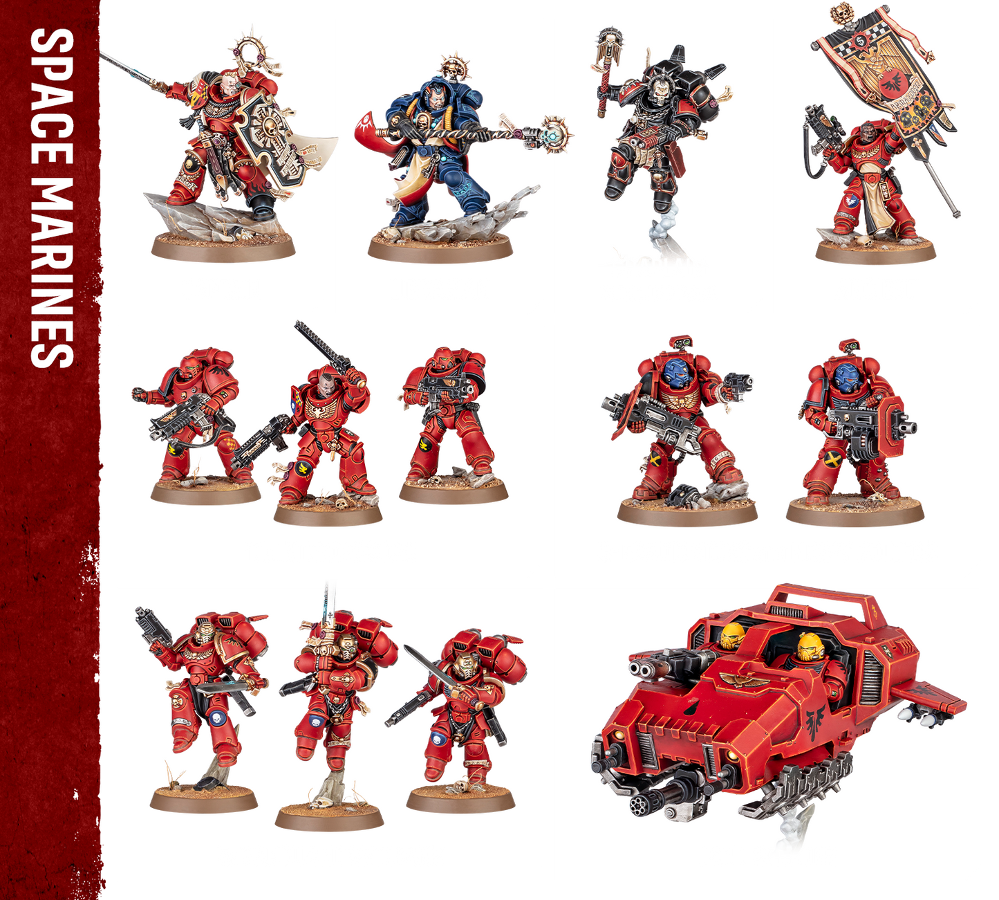 Warhammer 40,000 Armageddon Space Marines