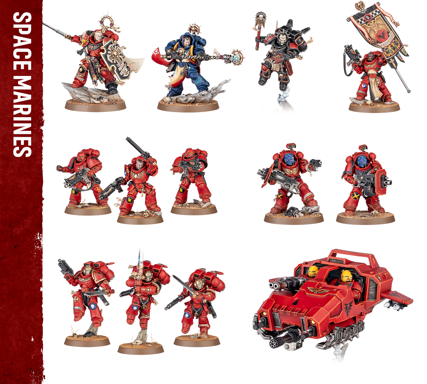 Warhammer 40,000 Armageddon Space Marines