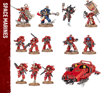 Warhammer 40,000 Armageddon Space Marines