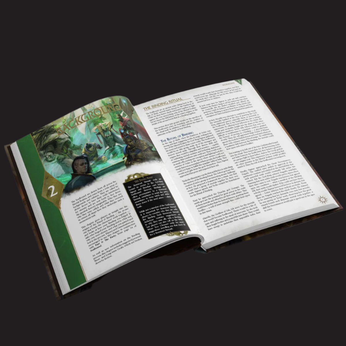 Warhammer Age of Sigmar Soulbound Champions of Order