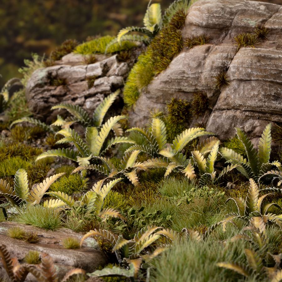 Miniature terrain featuring assembled Deer Fern laser-cut plants integrated into a realistic scenic landscape.