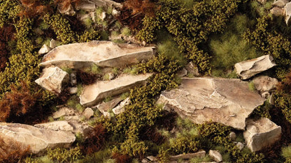 Dry Green Shrubs
